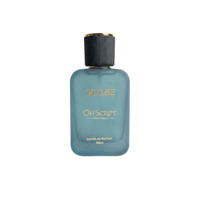PULSE Inspired By Dior Sauvage