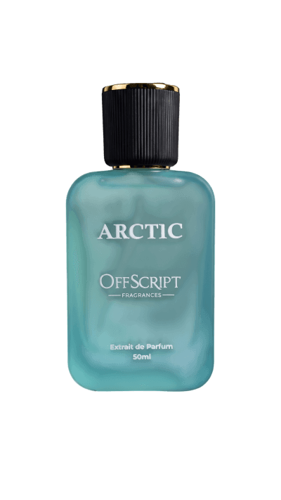 ARCTIC inspired by LV Imagination