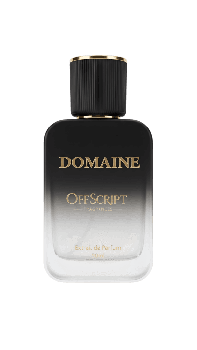 DOMAINE Inspired By Office For Men