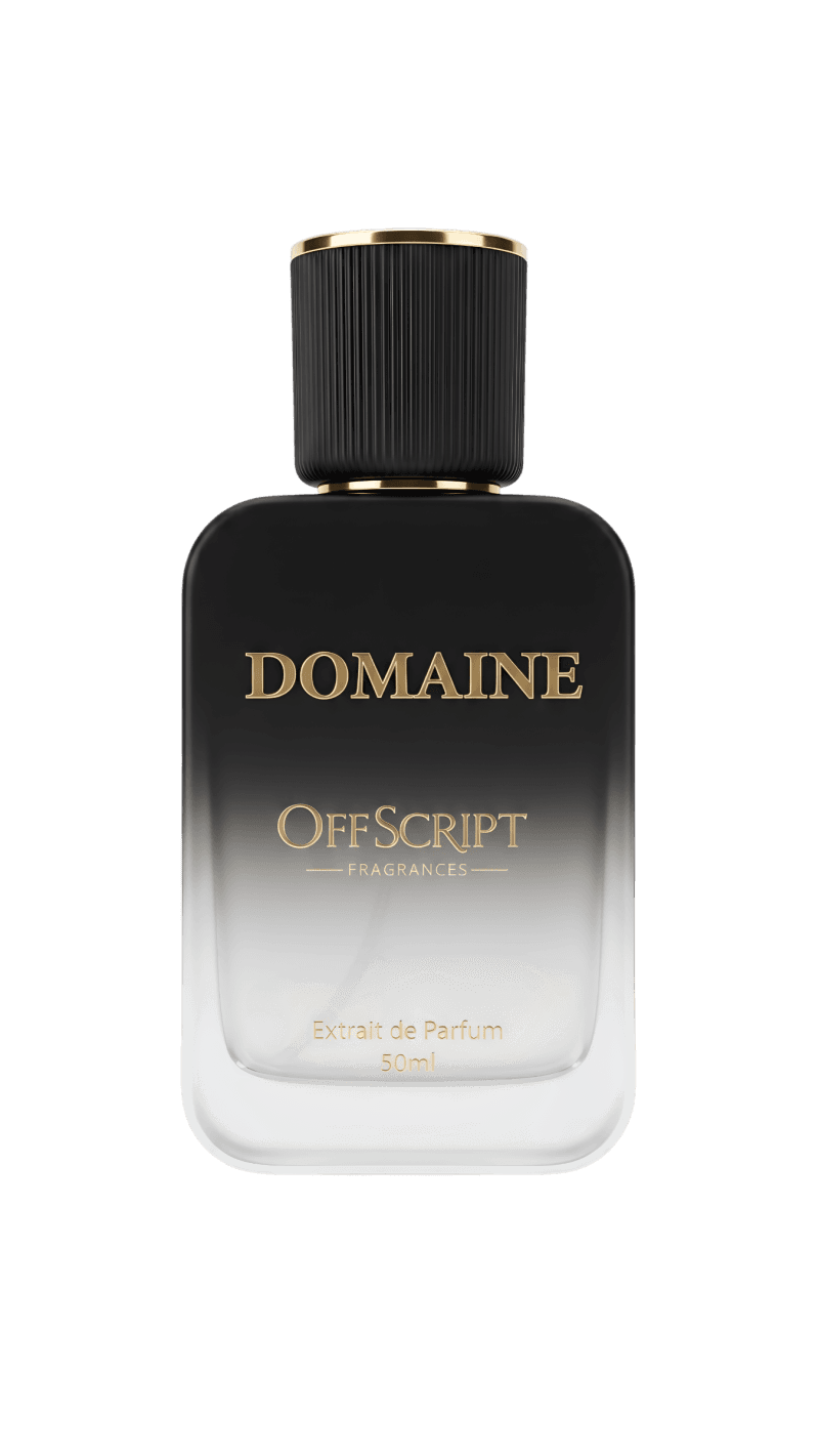 DOMAINE Inspired By Office For Men
